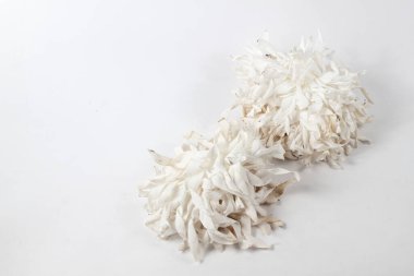 Bir demet kısa beyaz kurdele izole edilmiş beyaz arkaplan