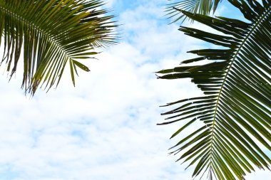 Resort görüntü geri güneşli gün değil doğada yer