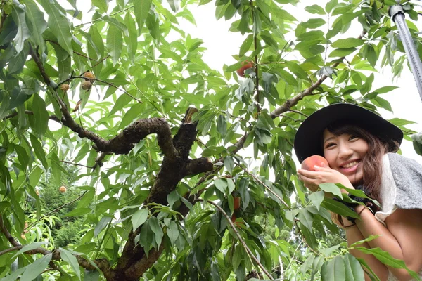 Fruit picking menina no lugar exterior — Fotografia de Stock