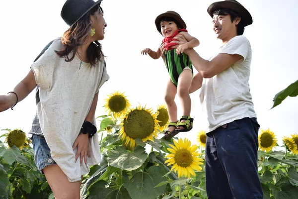 젊은 가족은 해바라기 필드와 함께 웃 — 스톡 사진