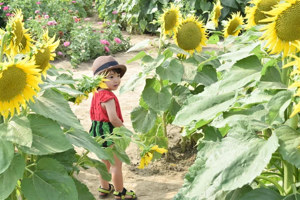 Υπέροχο παιδί είναι γύρω από τον ήλιο λουλούδι καλοκαιρινές διακοπές — Φωτογραφία Αρχείου