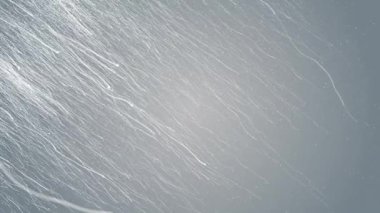 Parçacıklar beyaz etkinlik işi parlak parıltı konser açıcıları kredi arkaplan döngüsünü sonlandırdı