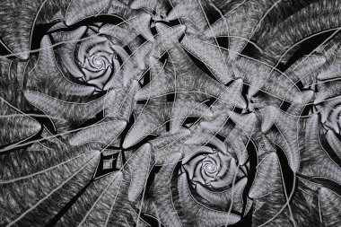 siyah ve beyaz çiçek