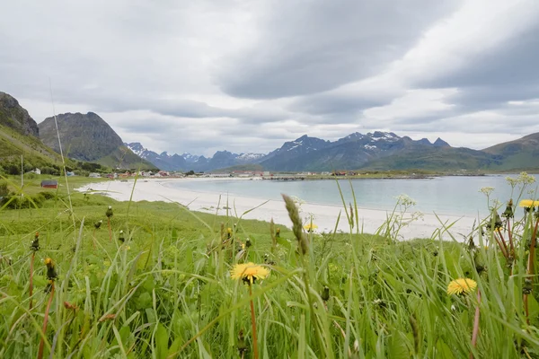 La bellezza delle montagne e dell'oceano della Norvegia settentrionale — Foto Stock