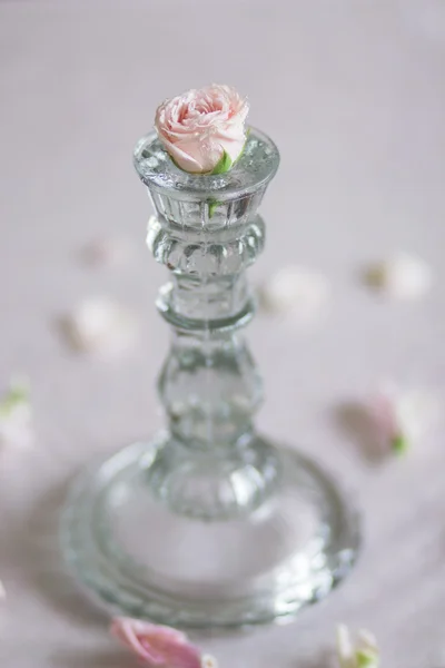 Capullo de rosa con candelabro — Foto de Stock