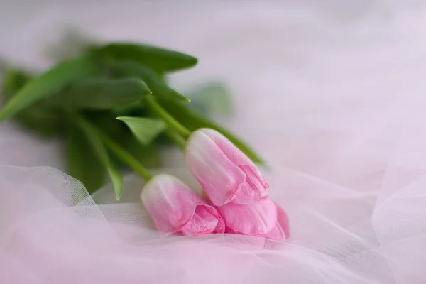 Tulipanes rosa mentira ramo — Foto de Stock