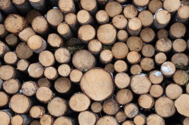 işleme için günlüğü