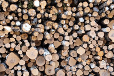 işleme için günlüğü