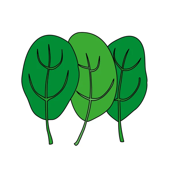 Ilustración de dibujos animados de espinacas verdes frescas. Comida vegetariana . — Vector de stock