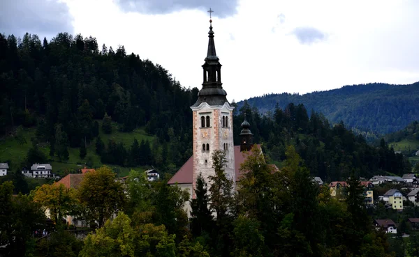 Eglise catholique située sur une île de Bled, Slovénie — Photo