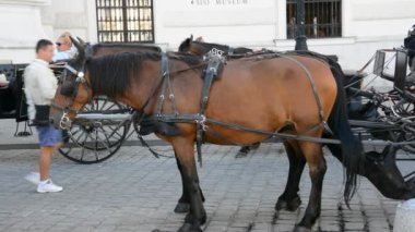 Viyana, Avusturya - 27 Ağustos 2015: Mimarlık, insan ve Viyana kenti anıtları