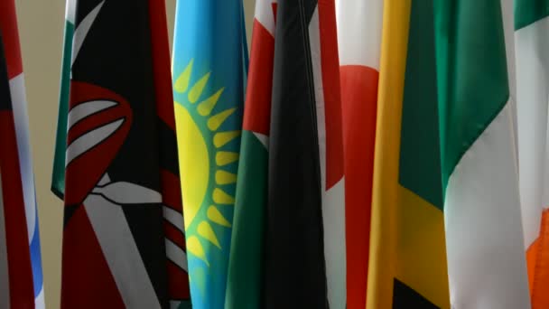Палата Совета Безопасности ООН, Флаги ООН — стоковое видео