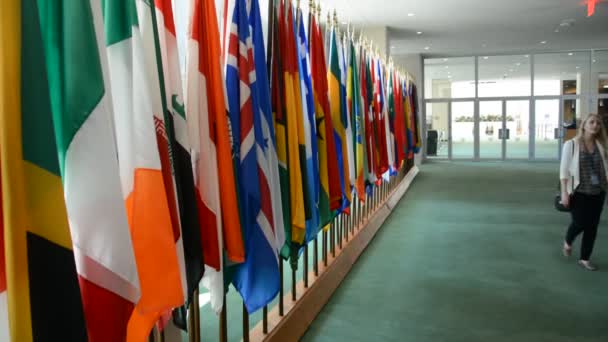 Sicherheitsratskammer Hauptquartier der Vereinten Nationen, Flaggen der Vereinten Nationen — Stockvideo