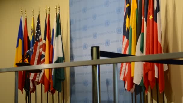 New York, Verenigde Staten - November 16e 2016: Veiligheidsraad kamer hoofdkwartier van de Verenigde Naties, de pers verklaring positie — Stockvideo