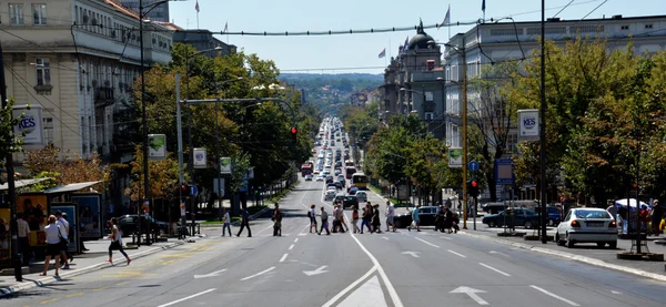 Belgrad, Sırbistan - 15 Ağustos 2016: Yokuş aşağı yol Kneza Milosa Belgrad sokak görünümü