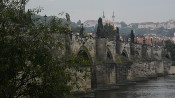 Architecture, monuments and tourists in Prague city, Czech Republic — Stock Video