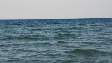 Akdeniz çevre, bitkiler ve doğa