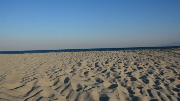 Mediterrane Umgebung, Pflanzen und Natur — Stockvideo