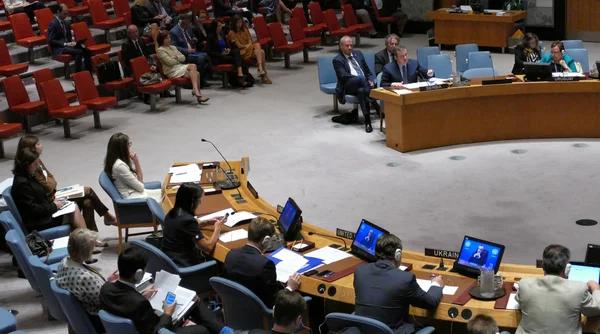 New York, Amerika Birleşik Devletleri. 25 Ağustos 2016. Güvenlik Konseyi 7760 Kosova Birleşmiş Milletler Geçici İdare Misyonu toplantı