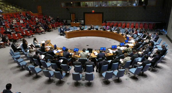 Нью-Йорк, США. 25 августа 2016 года. Заседание Совета Безопасности 7760 Миссия Организации Объединенных Наций по делам временной администрации в Косово — стоковое фото