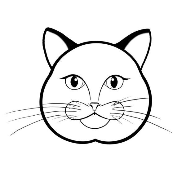 Close-up of face cat  icon isolated on white background.