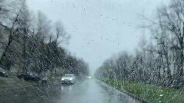 Niestabilna Kamera Naturalny Widok Przez Okno Samochodu Krople Deszczu Czasie — Wideo stockowe