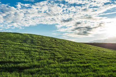 Günbatımı ve mavi bulutlu gökyüzünün arkaplanındaki doğal yeşil arazi.