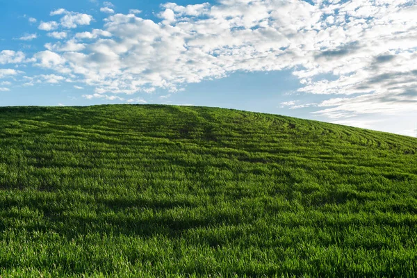 Naturligt Landskap Grönt Fält Bakgrunden Blå Molnig Himmel — Stockfoto