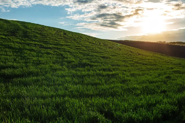 Naturligt Landskap Grönt Fält Bakgrunden Solnedgången Och Blå Molnig Himmel — Stockfoto