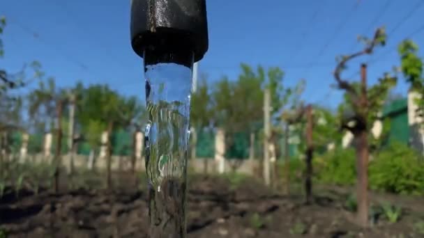 Macro Image Water Flows Outdoors Faucet Environmental Concept Close View — Vídeo de stock