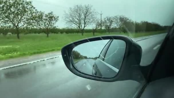 Close View Vehicles Side Mirror Reflections Background Green Field Trees — Vídeo de stock