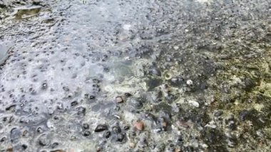 Yağmurlu bir günde beton zemine düşen su damlası; yavaş çekim kavramı.