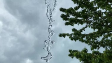 Yağmurlu bir günde, ağacın arka planına ve bulutlu gökyüzüne akan suyun yakın plan görüntüsü. Yavaş çekim konsepti.