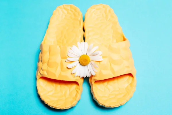Close Top View Yellow Slippers White Chamomile Flower Blue Background — Photo