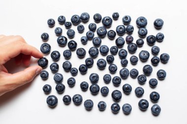 Üst görüntüde bir erkek eli bir sürü birlikten bir yaban mersinine dokunuyor..