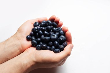 Beyaz arka planda, erkek ellerinde taze yaban mersinlerinin stüdyo fotoğrafı..