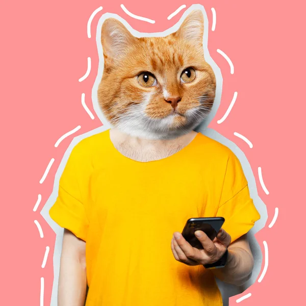 Cabeza Gato Cuerpo Masculino Usando Smartphone Collage Obra Arte Contemporáneo — Foto de Stock