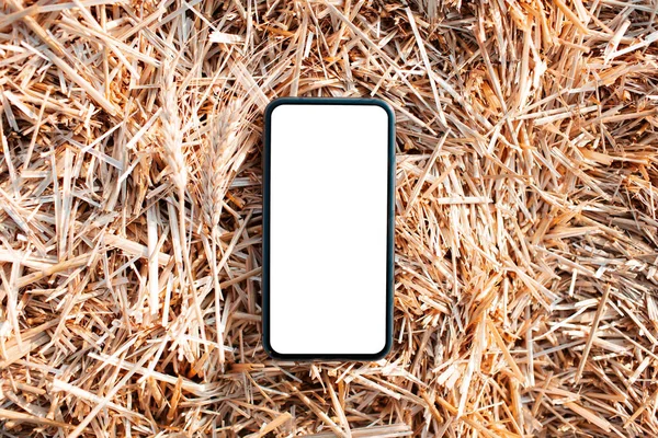 Close Smartphone Mockup Background Dry Wheat — Stock Photo, Image