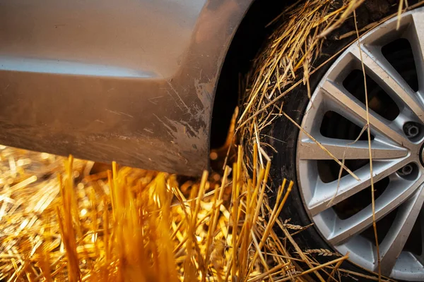 Gros Plan Roue Sale Voiture Avec Herbe Sèche Boue — Photo