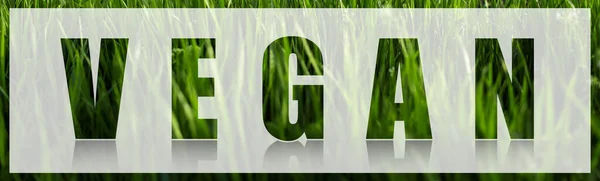 Green vegan word on white and green grass background. Panoramic banner view.