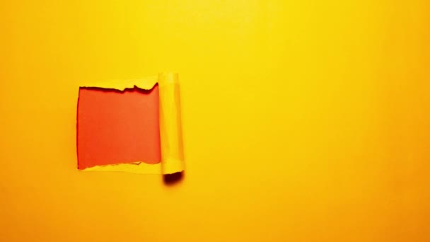 Detener Concepto Fotografía Papel Naranja Desgarrado Agonalmente Sobre Rojo — Vídeo de stock