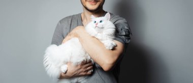 Gri arka planda beyaz kedisi olan genç bir adamın stüdyo portresi. Mavi gözlü evcil hayvan.