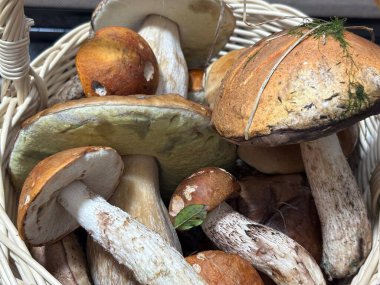 Tahta bir yüzey üzerindeki sepetin içindeki mantarların yakın plan çekimi.