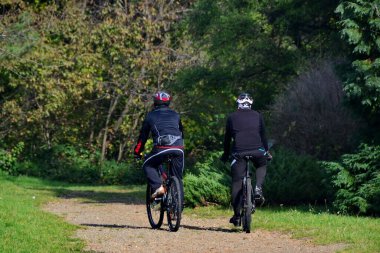 Novi Sad, Sırbistan, 2 Kasım 2014. Ormanda bisiklete binen sporcu adamlar, aktif spor hayatı.