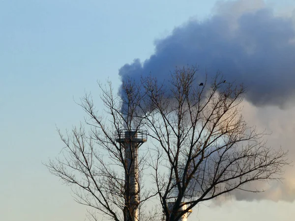 Humo Sale Una Chimenea Una Planta Industrial Cerca Los Árboles — Foto de Stock