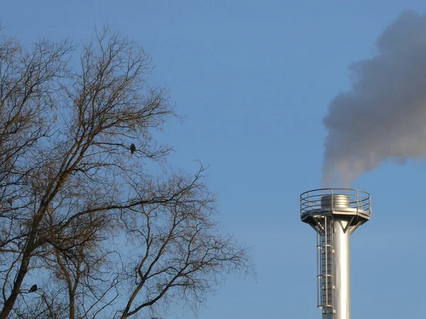 Humo Sale Una Chimenea Una Planta Industrial Cerca Los Árboles — Foto de Stock