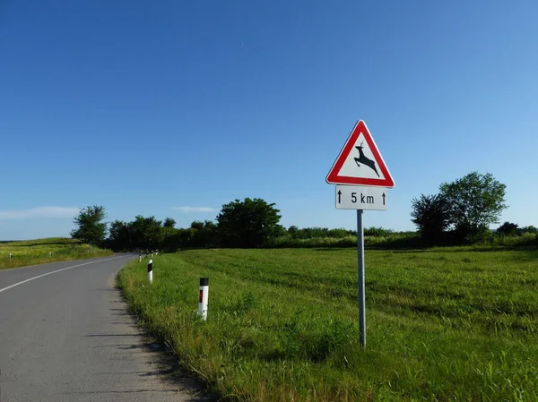 Trafikskylt Hjortkorsning Väg — Stockfoto