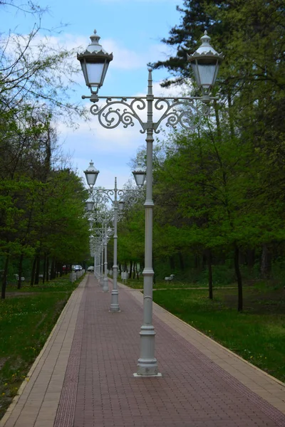 Lamps on lamp posts aligned in a row in the park