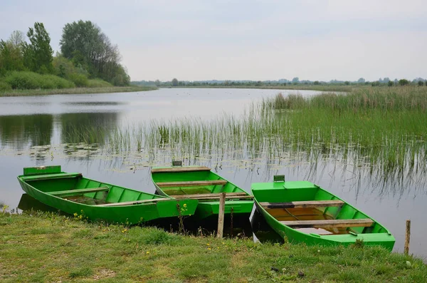 Trois Bateaux Verts Sur Rive Herbe Rivière — Photo