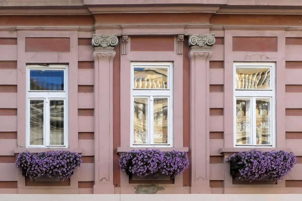 Три Вікна Квітами Перед Ними — стокове фото
